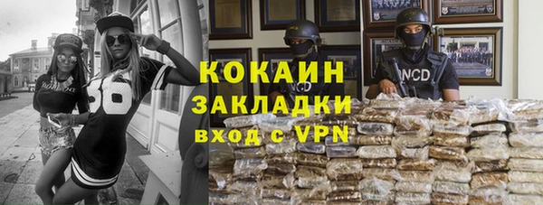 прущие грибы Аркадак