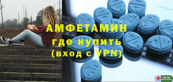 прущие грибы Аркадак