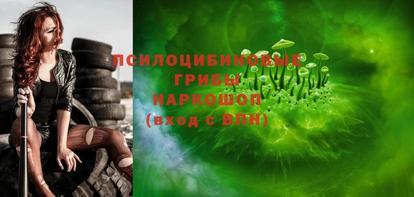 молекула духа Алексин